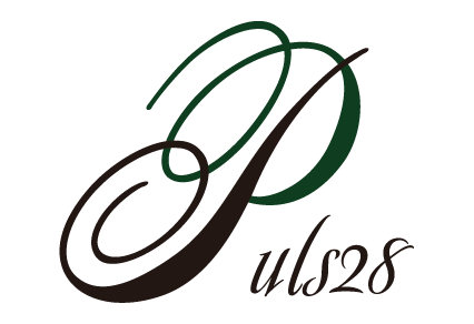 puls28 logo